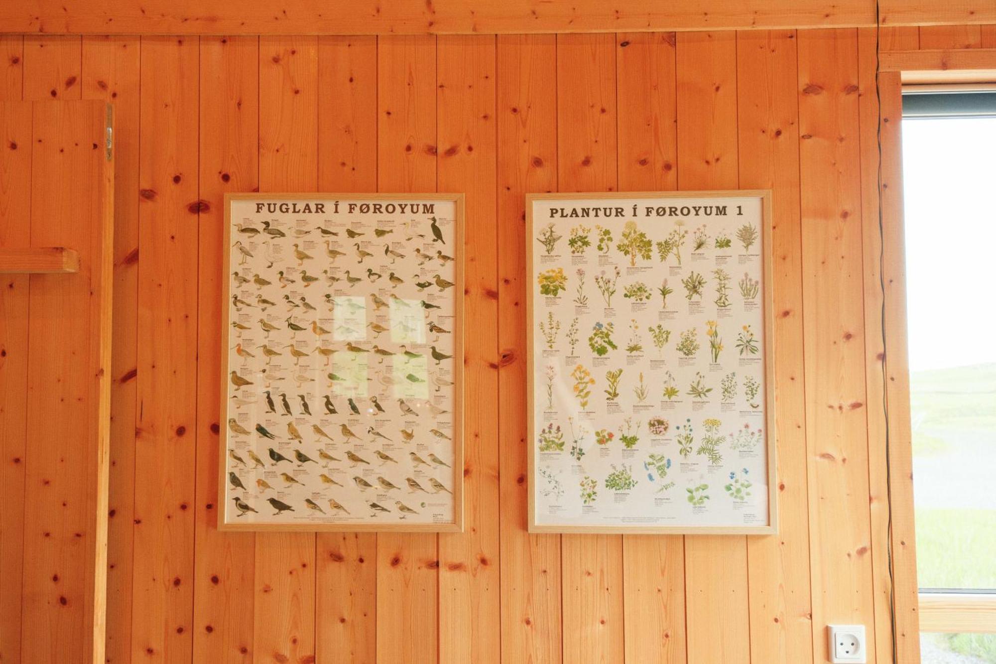 Mulafossur Cottages By Famous Waterfall In Gasadalur Екстериор снимка